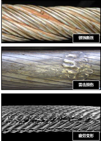 糖心官网APP入口