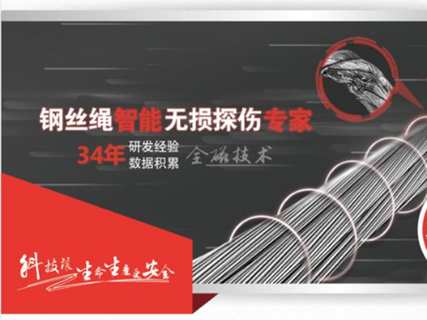 糖心官方VLOG官网智能探伤系统